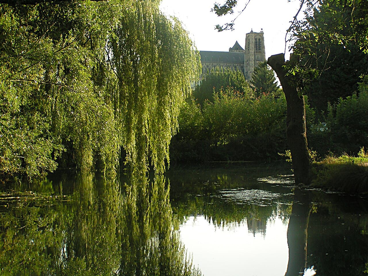 Paysage des marais de Bourges